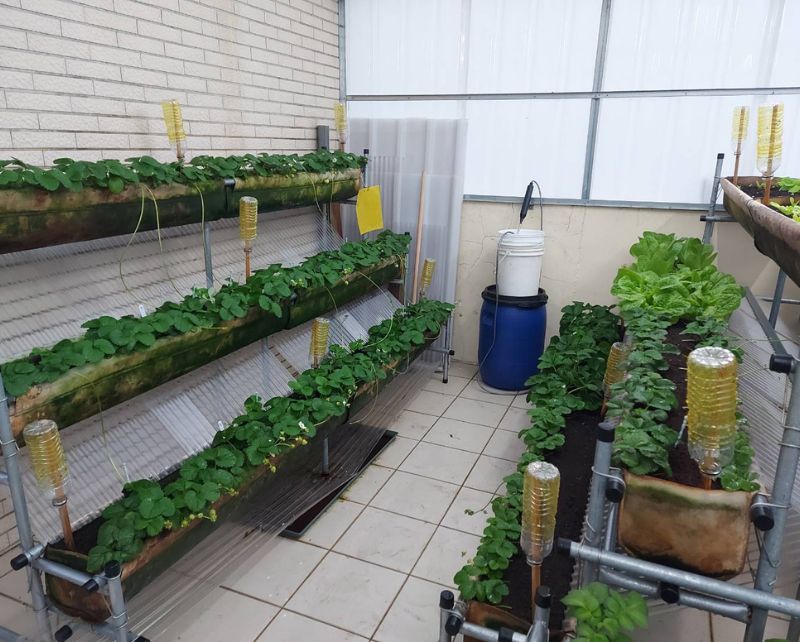 SIMPLE GREENHOUSE IN TAINAN CITY, TAIWAN
