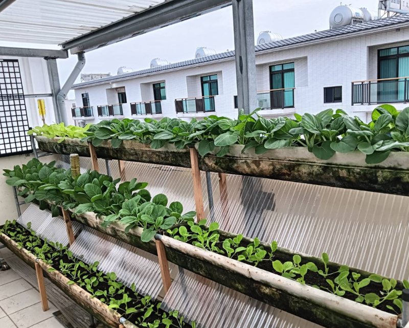 SIMPLE GREENHOUSE IN TAINAN CITY, TAIWAN