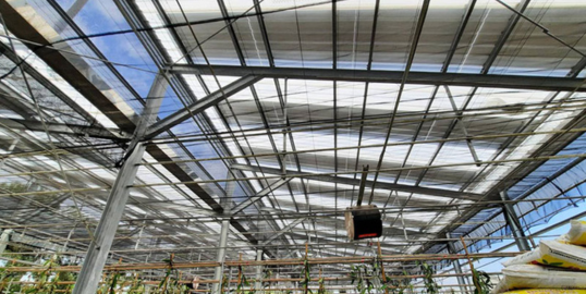 Polycarbonate Corrugated Sheets: The Ultimate Roofing Solution for Efficiency and Longevity